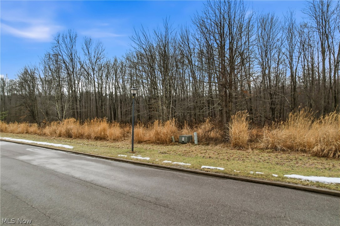 Lakeview Drive
