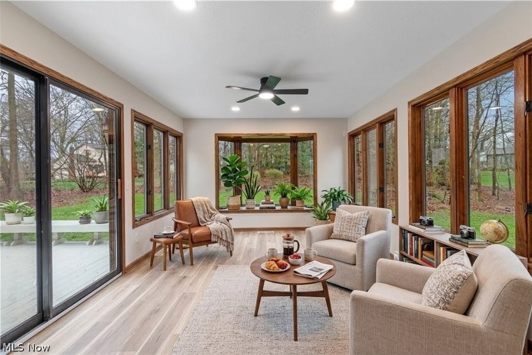 West Moor Allotment 02 - Residential