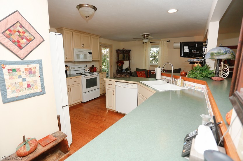 Clover Dale Allotment 01 - Residential