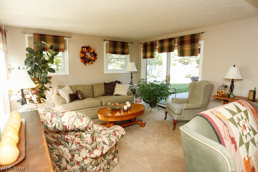 Clover Dale Allotment 01 - Residential