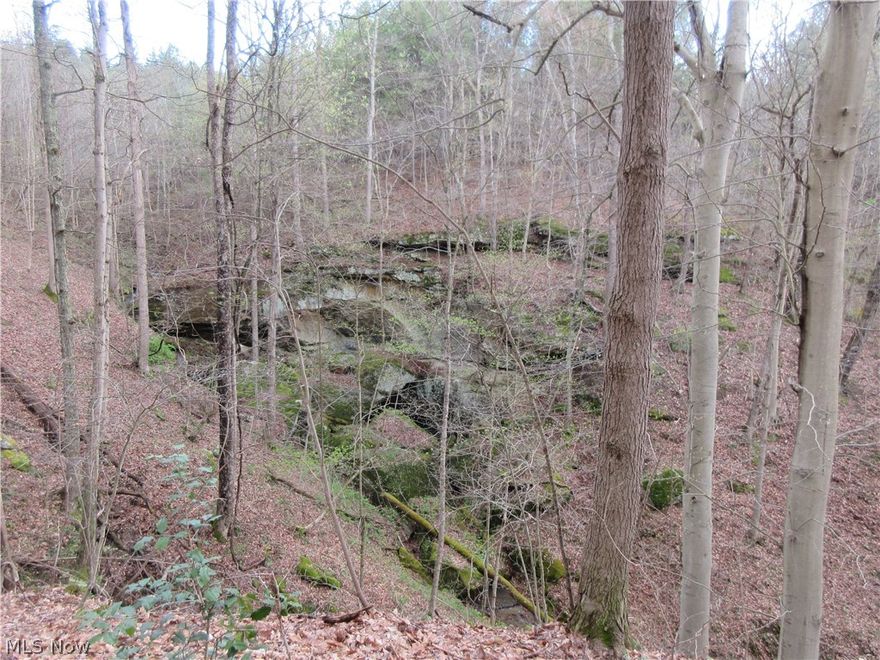 This southern Ohio tract of land has wildlife habitat, ridges, wildlife funnels, and future timber potential. With an ideal building site along the extensive road frontage, this would be a great opportunity with several land use capabilities.