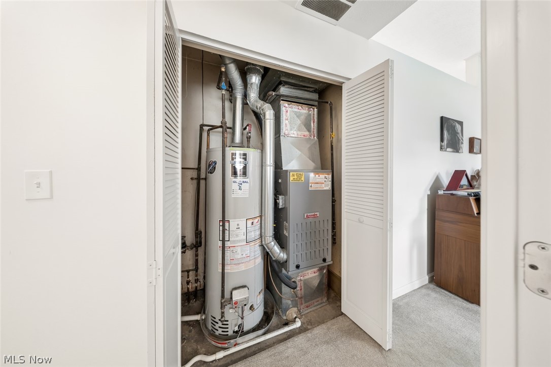 Rose Tree 01 - Residential