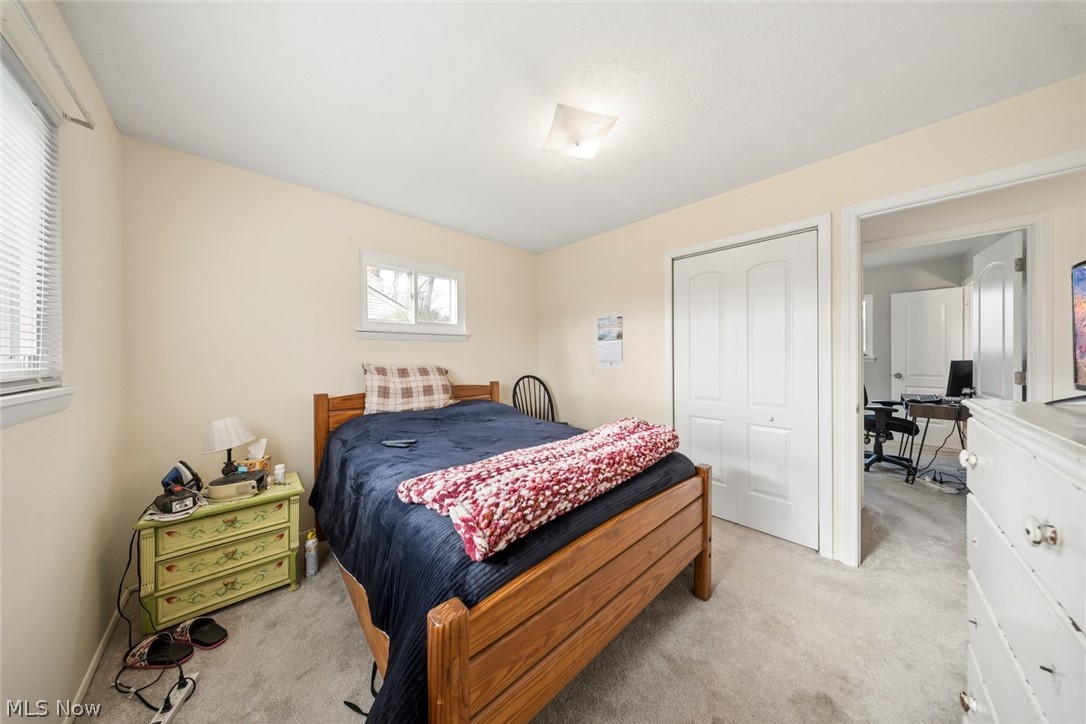 Rose Tree 01 - Residential