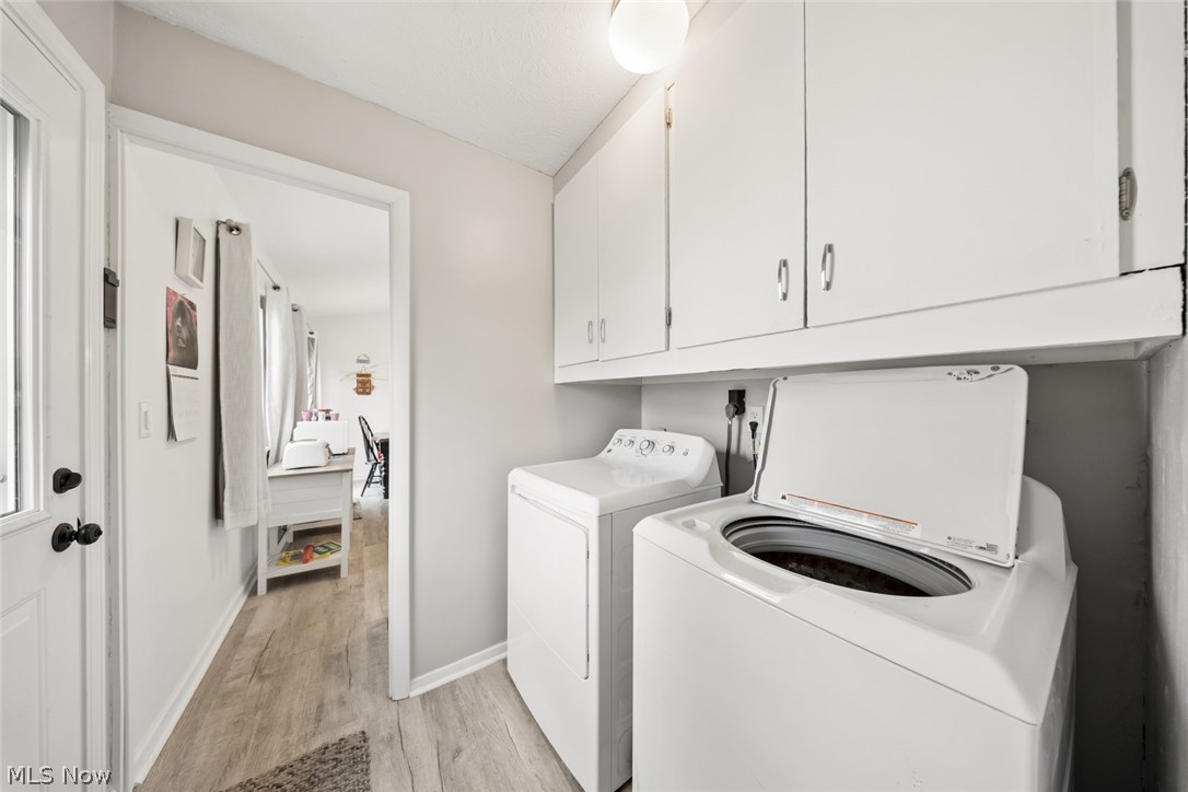 Rose Tree 01 - Residential