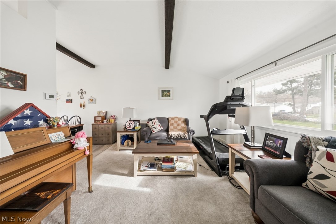 Rose Tree 01 - Residential