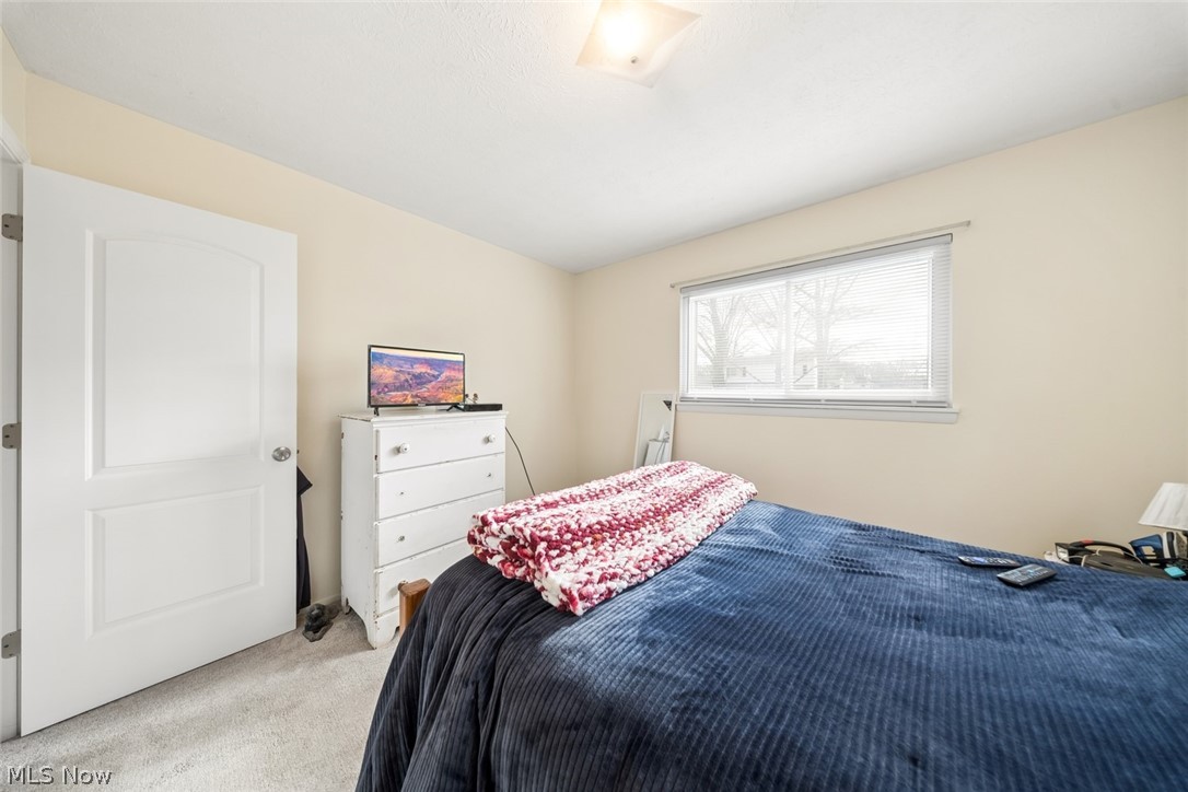 Rose Tree 01 - Residential