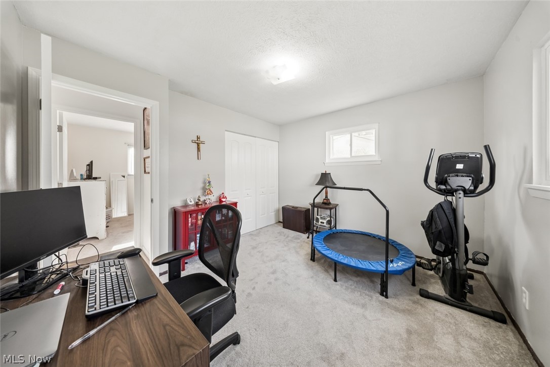 Rose Tree 01 - Residential