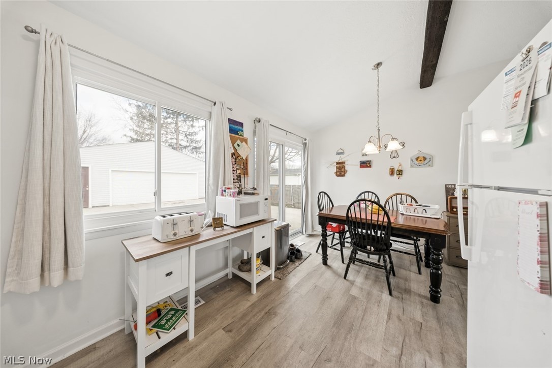 Rose Tree 01 - Residential