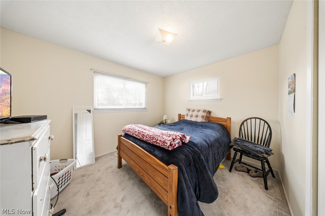 Rose Tree 01 - Residential