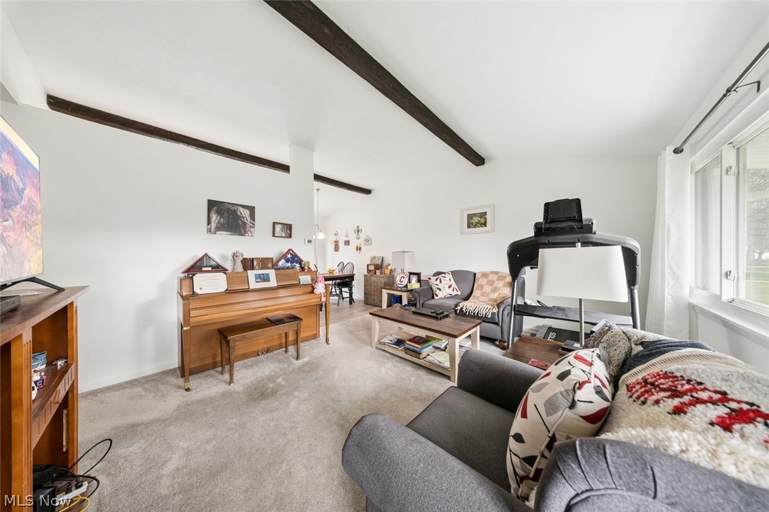 Rose Tree 01 - Residential