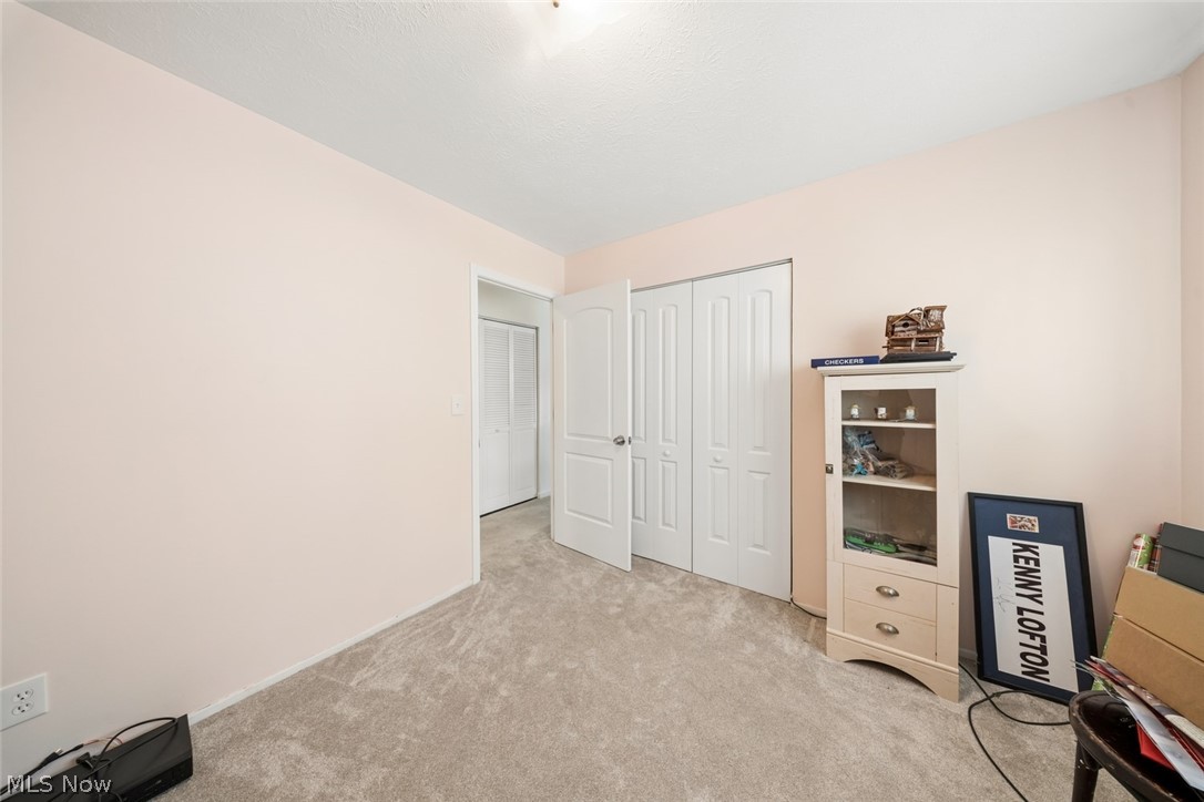 Rose Tree 01 - Residential