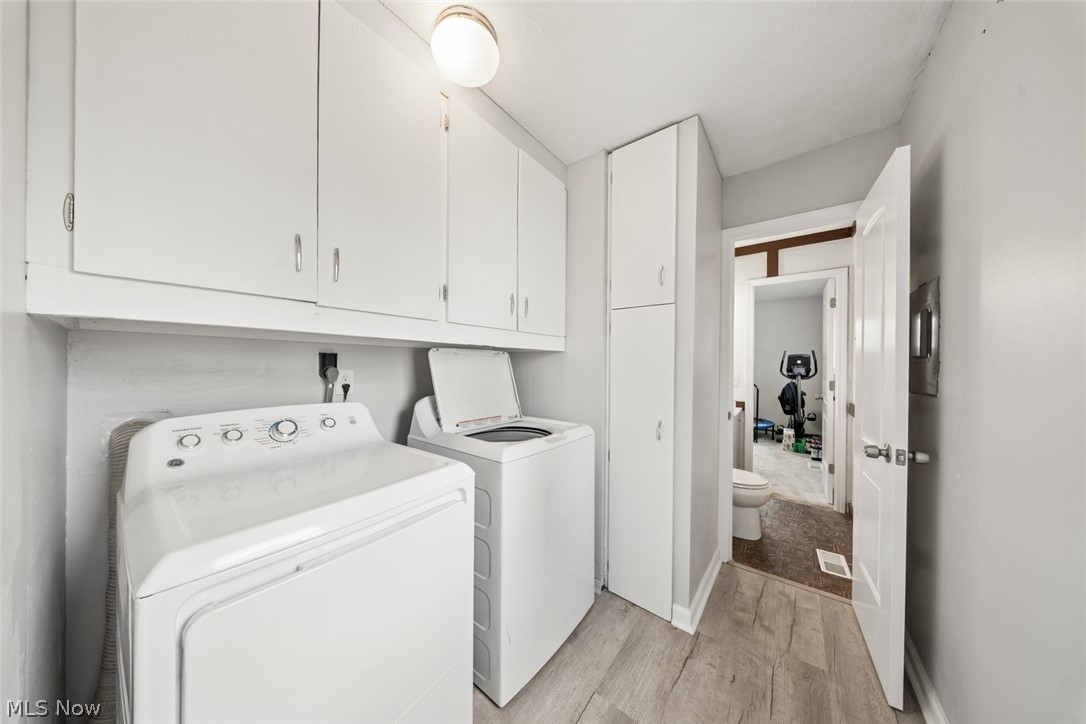 Rose Tree 01 - Residential