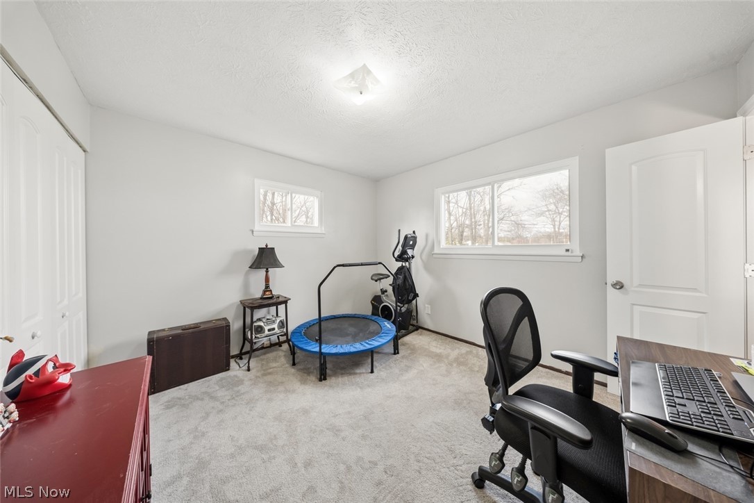 Rose Tree 01 - Residential