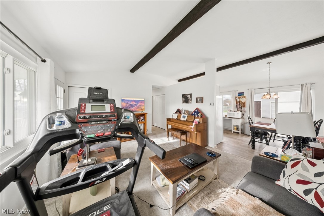 Rose Tree 01 - Residential