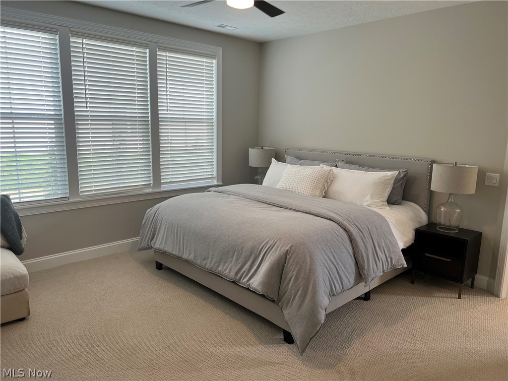 Renaissance Park at Geauga Lake - Residential