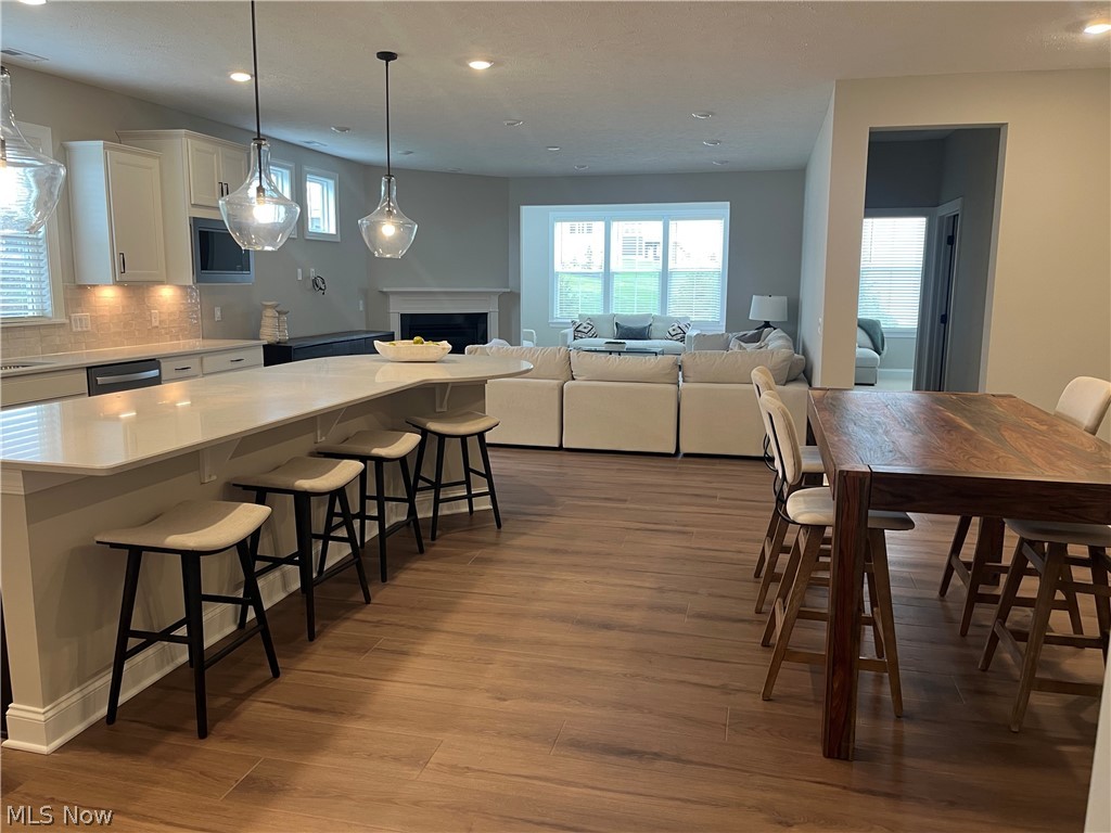 Renaissance Park at Geauga Lake - Residential