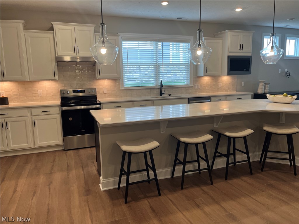 Renaissance Park at Geauga Lake - Residential