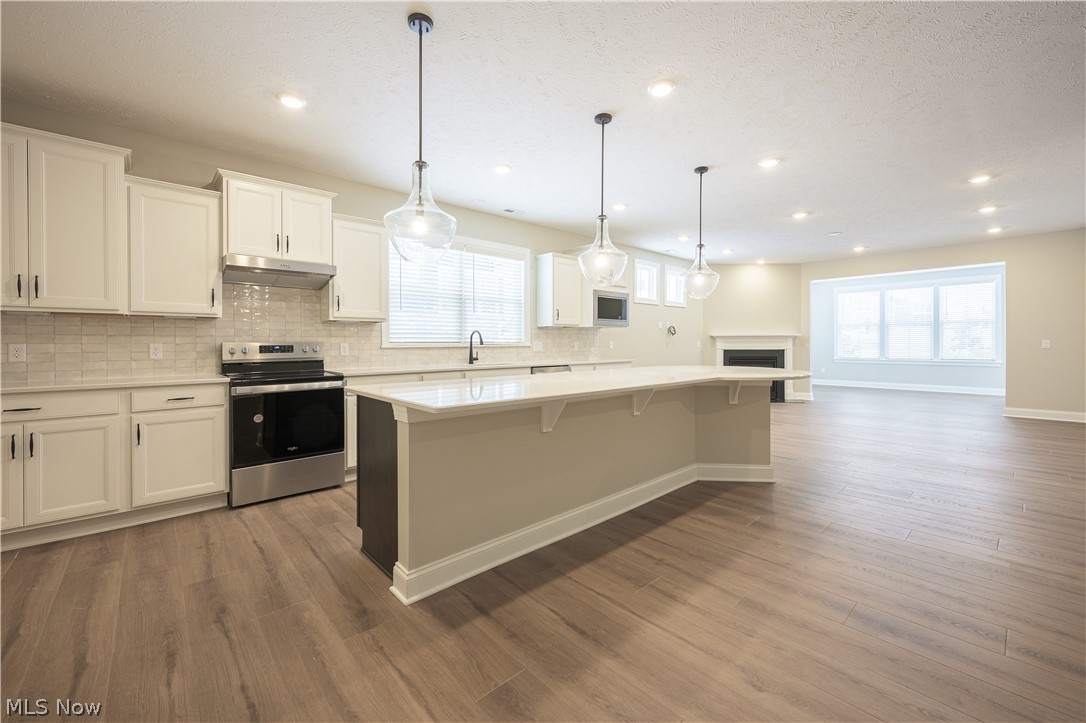 Renaissance Park at Geauga Lake - Residential