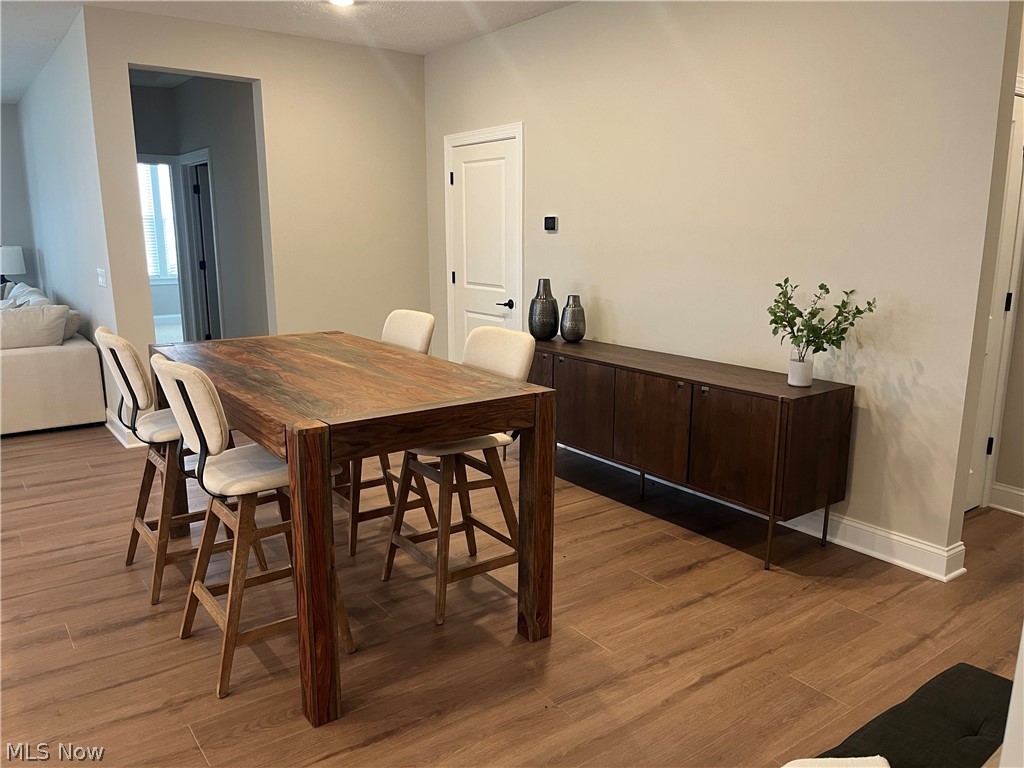 Renaissance Park at Geauga Lake - Residential