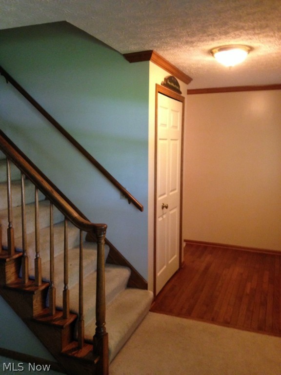 Hampton Park Estates - Residential