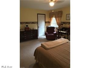 Just Cricket - Residential