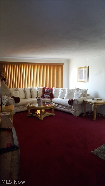 Amelia Mdws Allotment - Residential