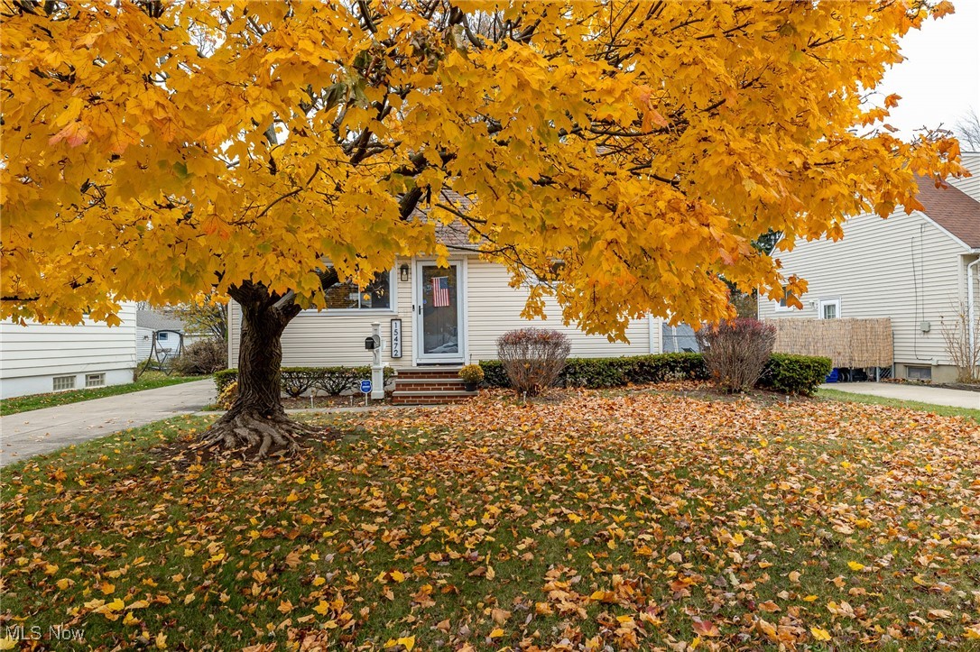 Miller - Residential