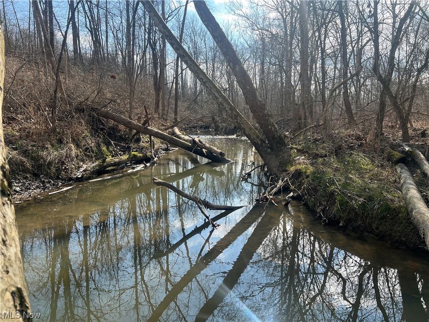 Great recreational property with a beautiful creek. If you are looking for a place to hunt, hike, relax, or to spend time with friends or family, this could be it. As you walk the property you will find a ton of deer sign in every direction. Kelner Ditch runs through the property and offers beautiful and unique views as it twists and turns its way through. Several trails make getting around the property a breeze. Whether you are looking for a small place to hunt or just to expand your real estate holdings, this might be the one!