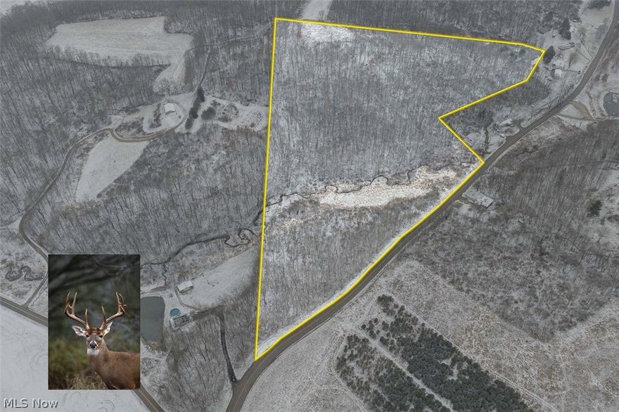 Online Only Auction. ATTN: Land Seekers, Hunters, Nature Lovers. 21-Acre Woodland, Prime Wildlife Habitat, Future Cabin or Homesite. Harrison Twp., Carroll Co., Carrollton EVSD. ABSOLUTE AUCTION, all sells to the highest bidder. ONLINE BIDDING STARTS: FRIDAY, APRIL 3, 2026, 12:00 PM and ENDS: THURSDAY, APRIL 9, 2026, 12:30 PM. Real Estate. 21.2 acres mostly wooded featuring a rolling topography, winding creek, prime wildlife habitat, over 1,100 ft. of road frontage, timber potential, as well as cabin or homesites. All conveniently located minutes from Carrollton and Lake Mohawk, don’t miss out. Land is an asset you can enjoy! Half-year taxes are $466.00. Carroll Co. parcel #15-0000552.000. Walk this land at your convenience.