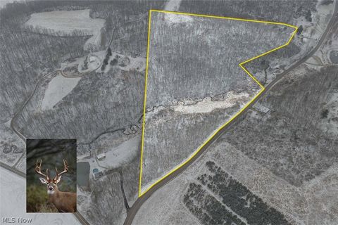 Vacant Land For Sale - Bacon Road<br/> Carrollton, OH 44615