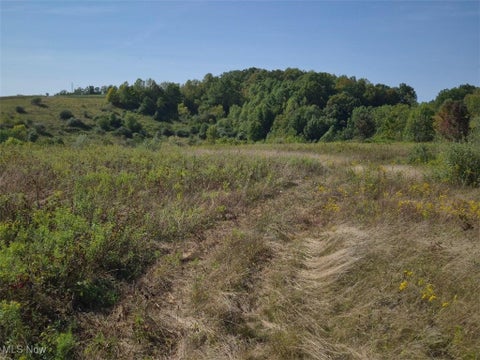 Vacant Land For Sale - Lincoln Street<br/> East Canton, OH 44730