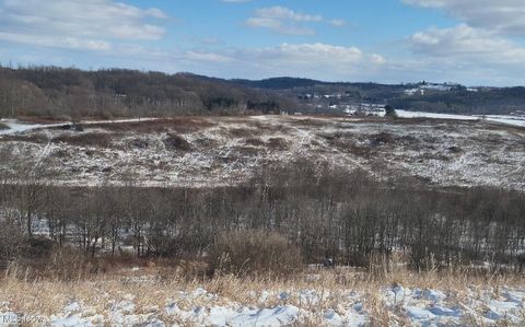 Vacant Land For Sale - Lincoln Street<br/> East Canton, OH 44730