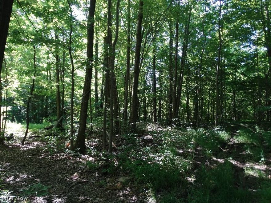 14.396 beautiful wooded acres in a perfect country setting.  Great land for hunting, weekend getaways or building your new home.  There is a 75ft well, electric, a pond and a driveway already in place.