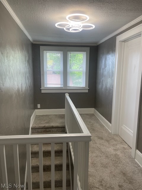 Village/Navarre - Residential