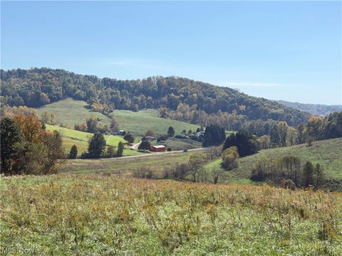 Tiny photo for 0 County Road 106, Newcomerstown, OH 43832 (MLS # 5254821)