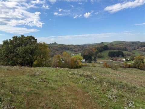 Tiny photo for 0 County Road 106, Newcomerstown, OH 43832 (MLS # 5254821)