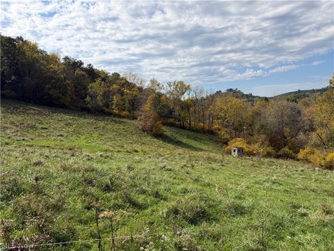Tiny photo for 0 County Road 106, Newcomerstown, OH 43832 (MLS # 5254821)