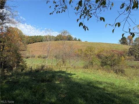 Tiny photo for 0 County Road 106, Newcomerstown, OH 43832 (MLS # 5254821)