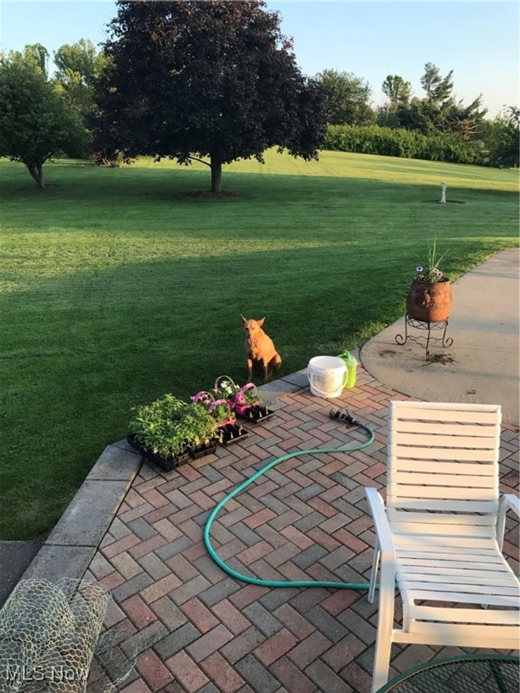 Photo of 10004 Candy Road, Cambridge, OH 43725 (MLS # 5184111)