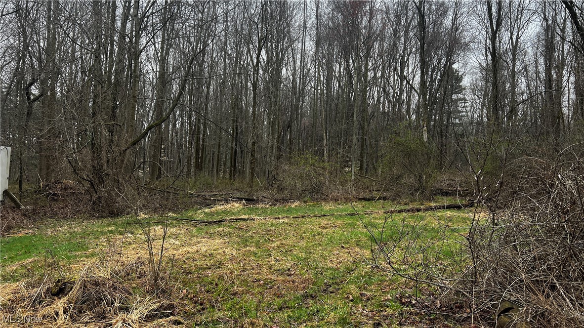 3731 Hamilton Road, Medina, Ohio image 28