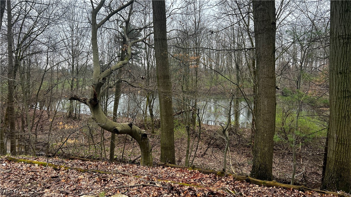 3731 Hamilton Road, Medina, Ohio image 6
