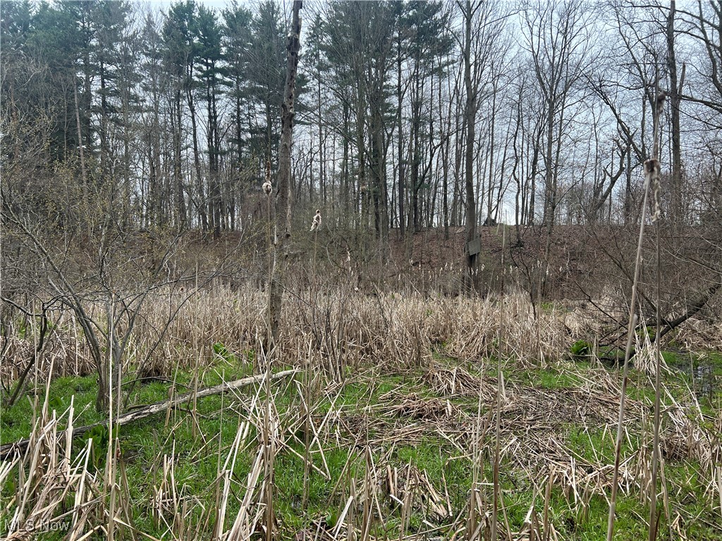 3731 Hamilton Road, Medina, Ohio image 21