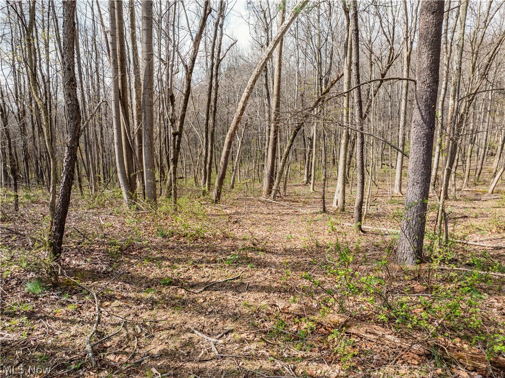 Township Rd 389