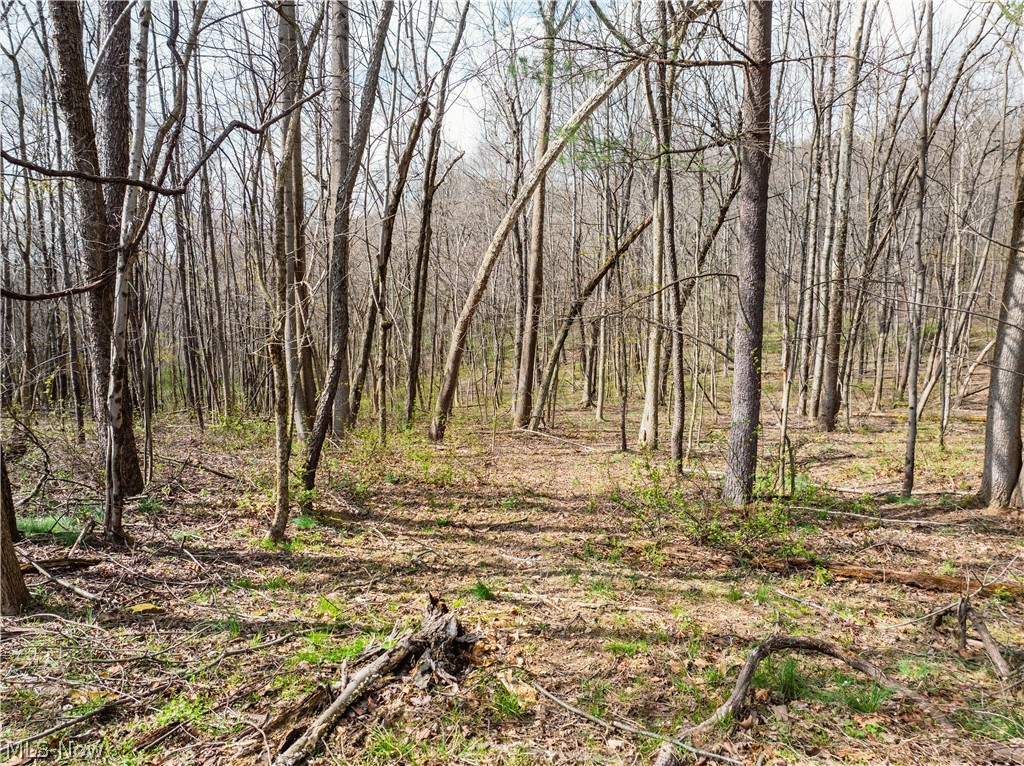Township Rd 389