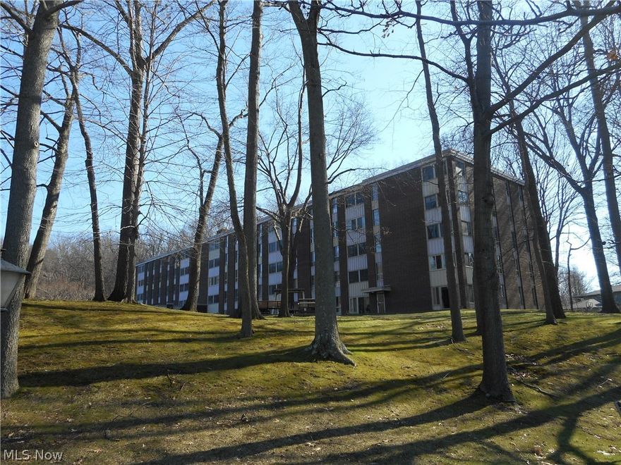 Very nice 1 bedroom condo has been freshly painted and offers brand new carpeting (2/16). Enclosed 3 season sunroom with a great view.  Applianced eat in kitchen offers new vinyl flooring and dishwasher (2/16).  Spacious bedroom features 2 nice sized closets.