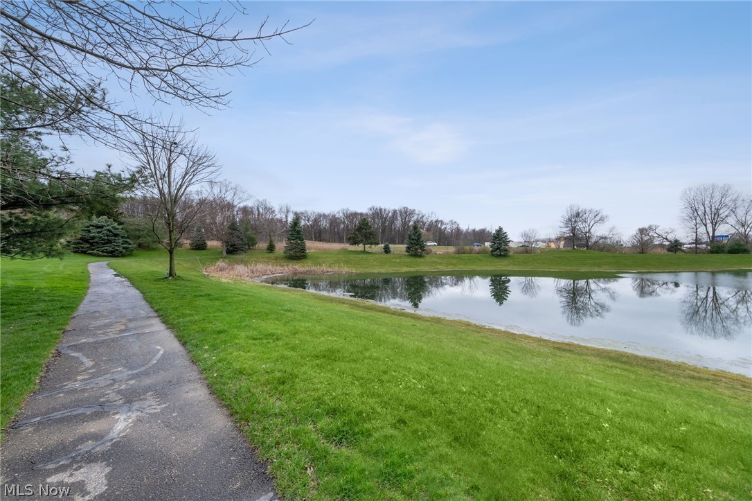 Hyde Park Condo - Residential