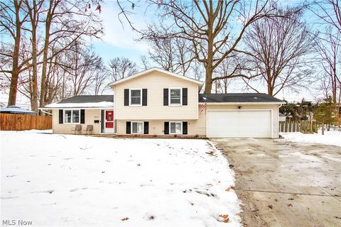 9559 Driftwood Drive Olmsted Falls OH 44138