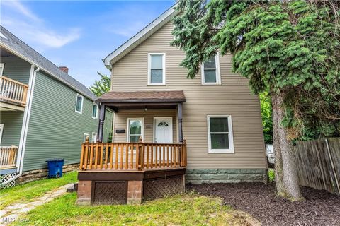 3009 Delmar Avenue Cleveland OH 44109