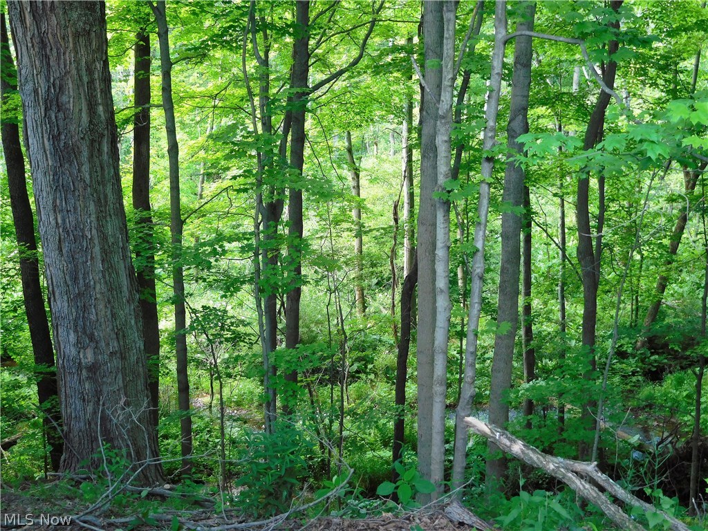 Brimfield - Residential