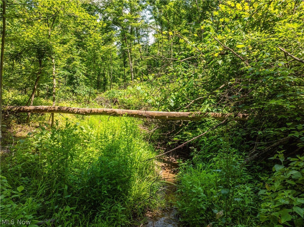 Lot 3 Township Rd 51